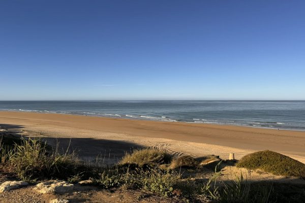 Sancti Petri: el poblado pesquero que se reinventó con arte y nostalgia